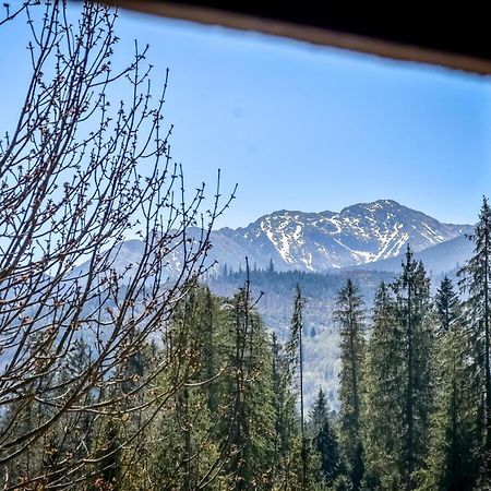U Topora Z Jacuzzi - 80M Do Stacji Narciarskiej Ciche Małe Esterno foto